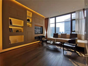 南京河西 德基世贸中心 公寓  精装修现房 67-200平方  均价39800 总价280万起